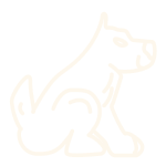 dog icon