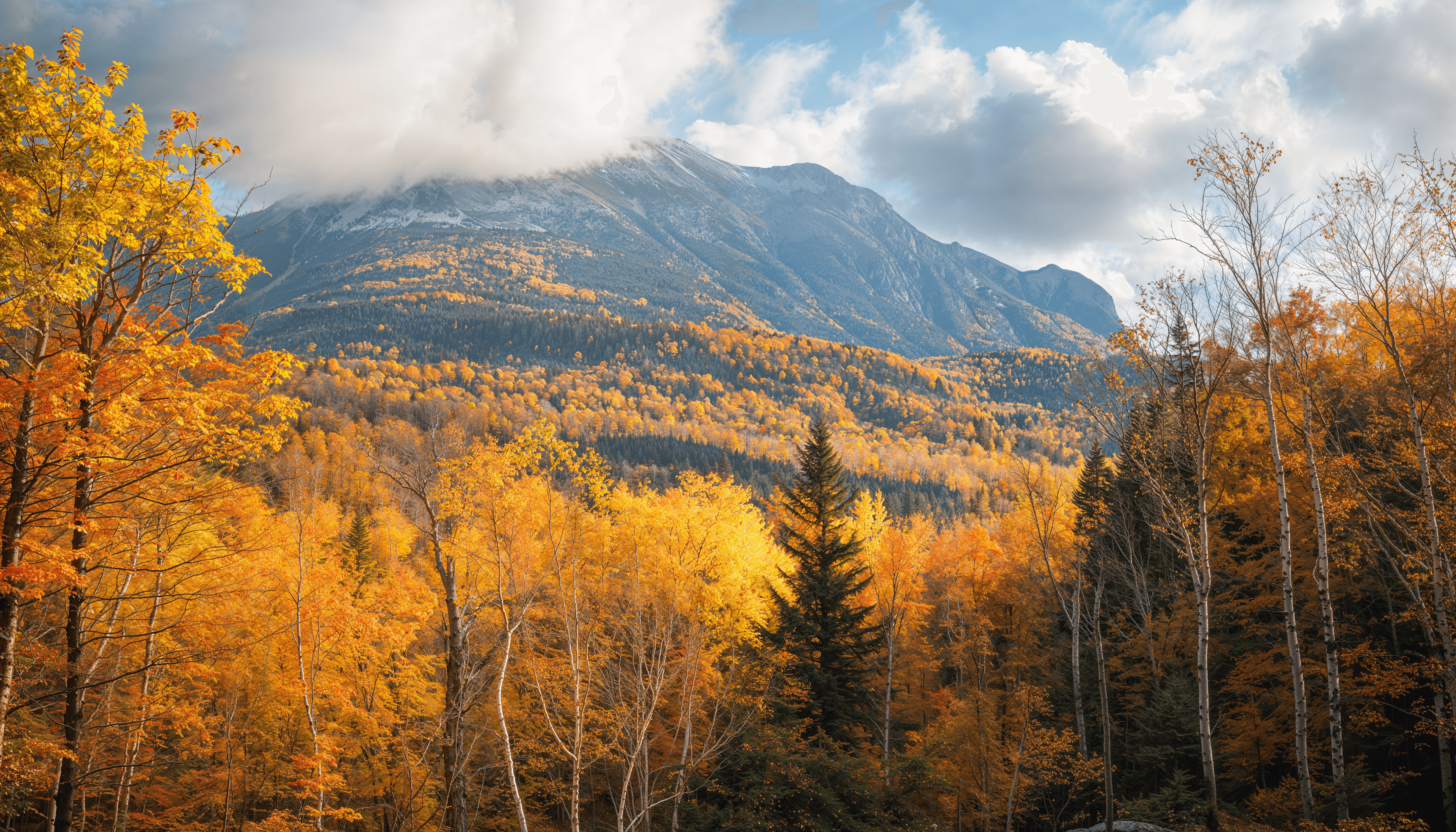 Activities in Fall
